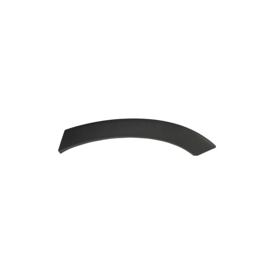 Blic 5703-04-3184471P Trim / Protective Strip, Mudguard