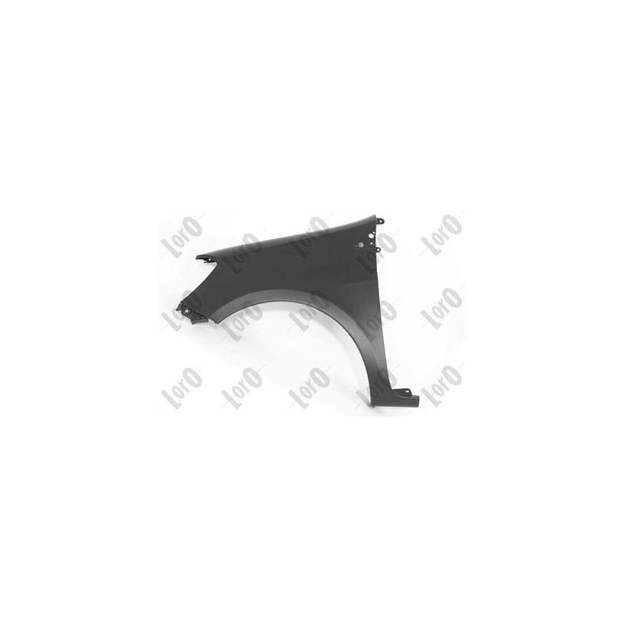 Abakus 04233251 Wing Fender for Renault Clio