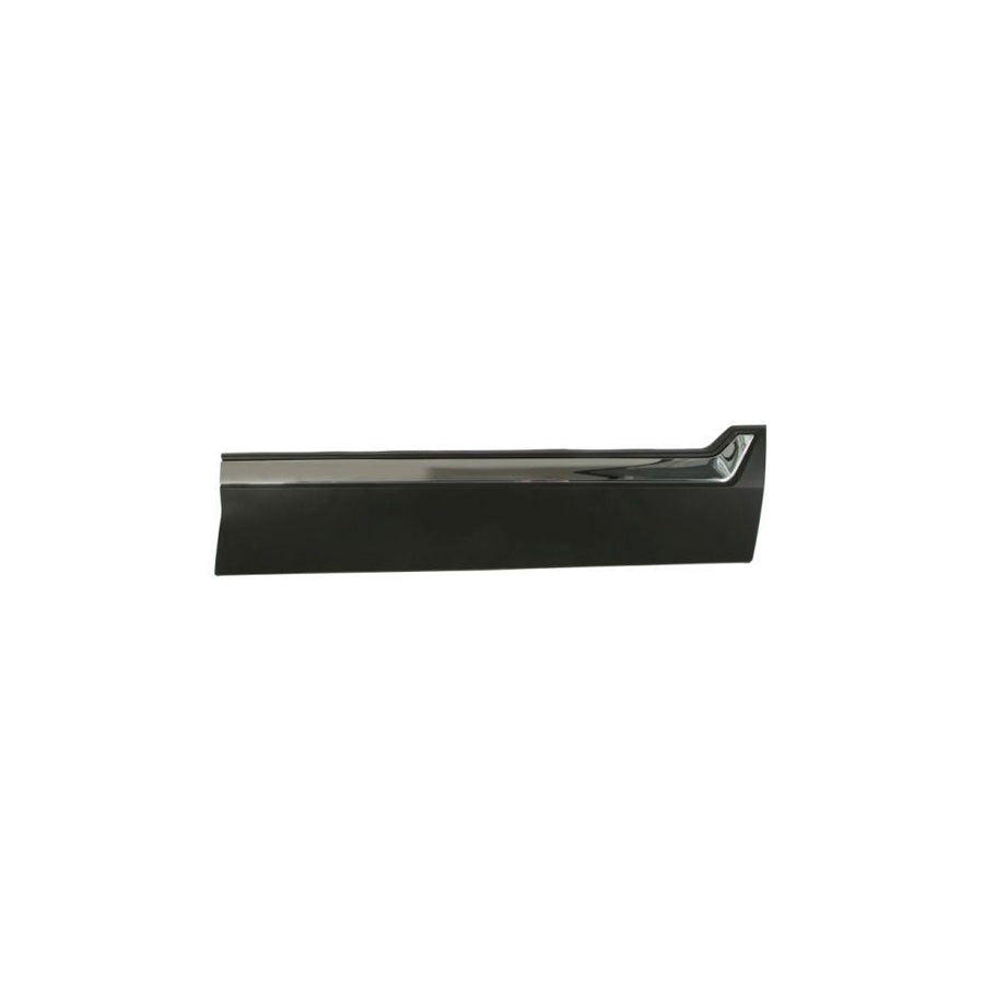 Blic 5703-04-2951572P Trim / Protective Strip, Mudguard For Honda Cr-V V (Rw, Rt)