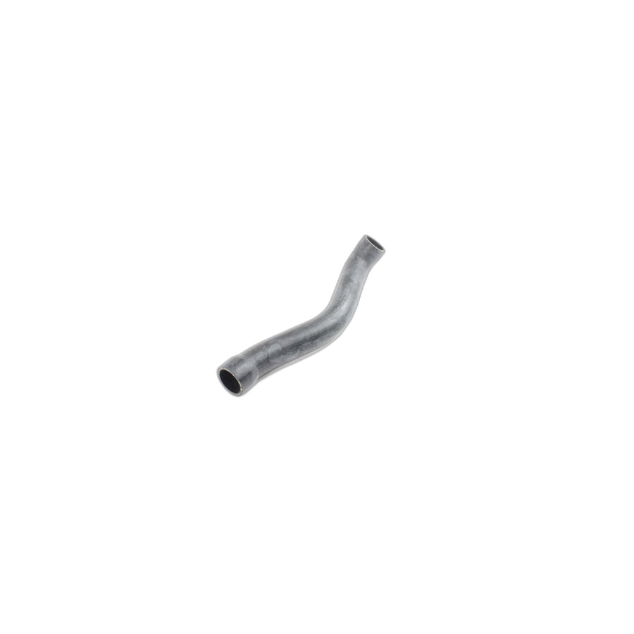 Genuine BMW 11531284096 E28 Water Hose (Inc. 524d & 524td) | ML Performance US Car Parts