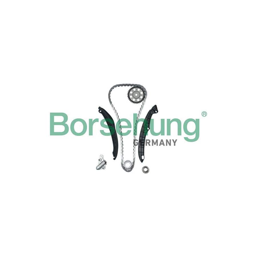 Borsehung B16299 Timing Chain Kit