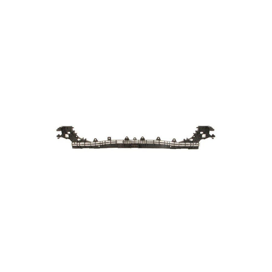 Blic 6502-08-3521201P Front Cowling Suitable For Mercedes-Benz C-Class