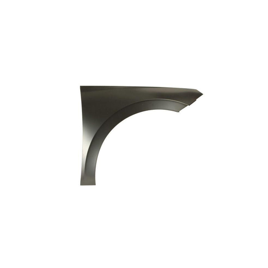 Blic 6504-04-7519312P Wing Fender For Skoda Scala Hatchback