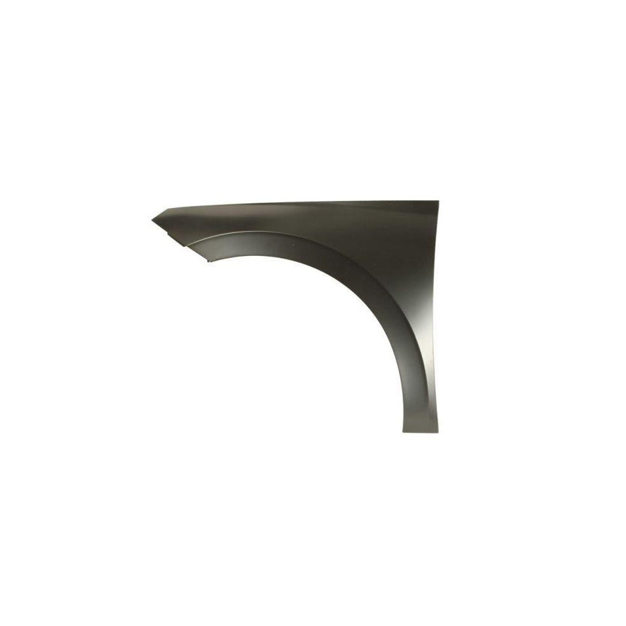 Blic 6504-04-7519311P Wing Fender For Skoda Scala Hatchback