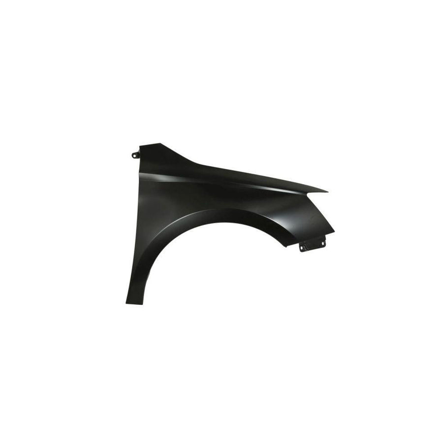 Blic 6504-04-7517312Q Wing Fender For Skoda Fabia