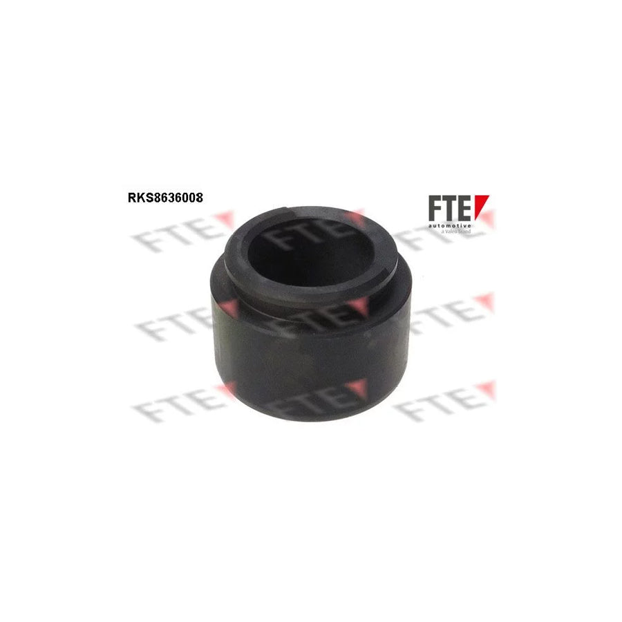 FTE Rks8636008 Piston, Brake Caliper for Opel Omega