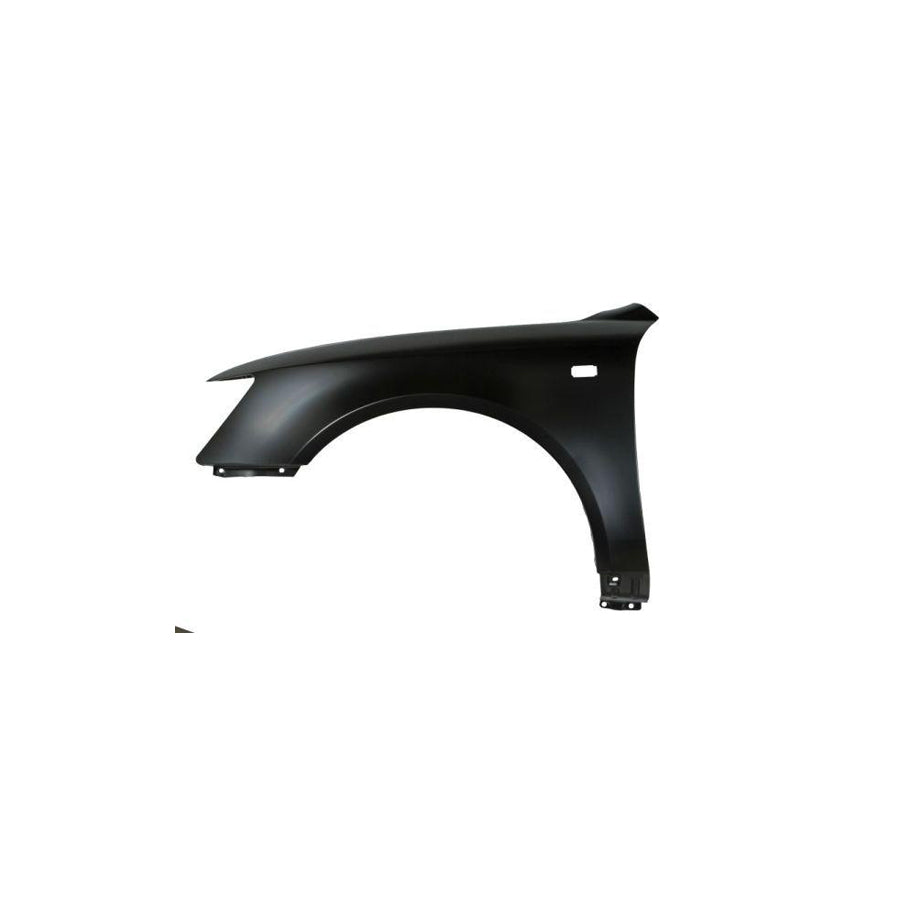 Blic 6504-04-3169311P Wing Fender For Hyundai Sonata V (Nf)