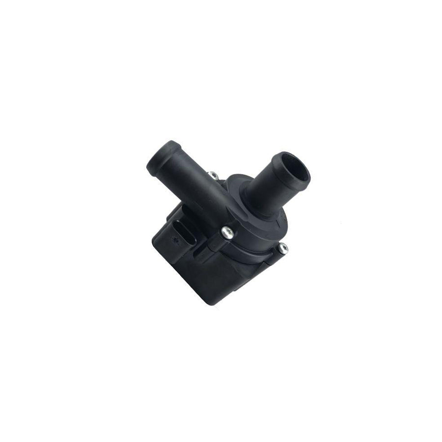 BUGIAD Bwp52015 Additional Water Pump