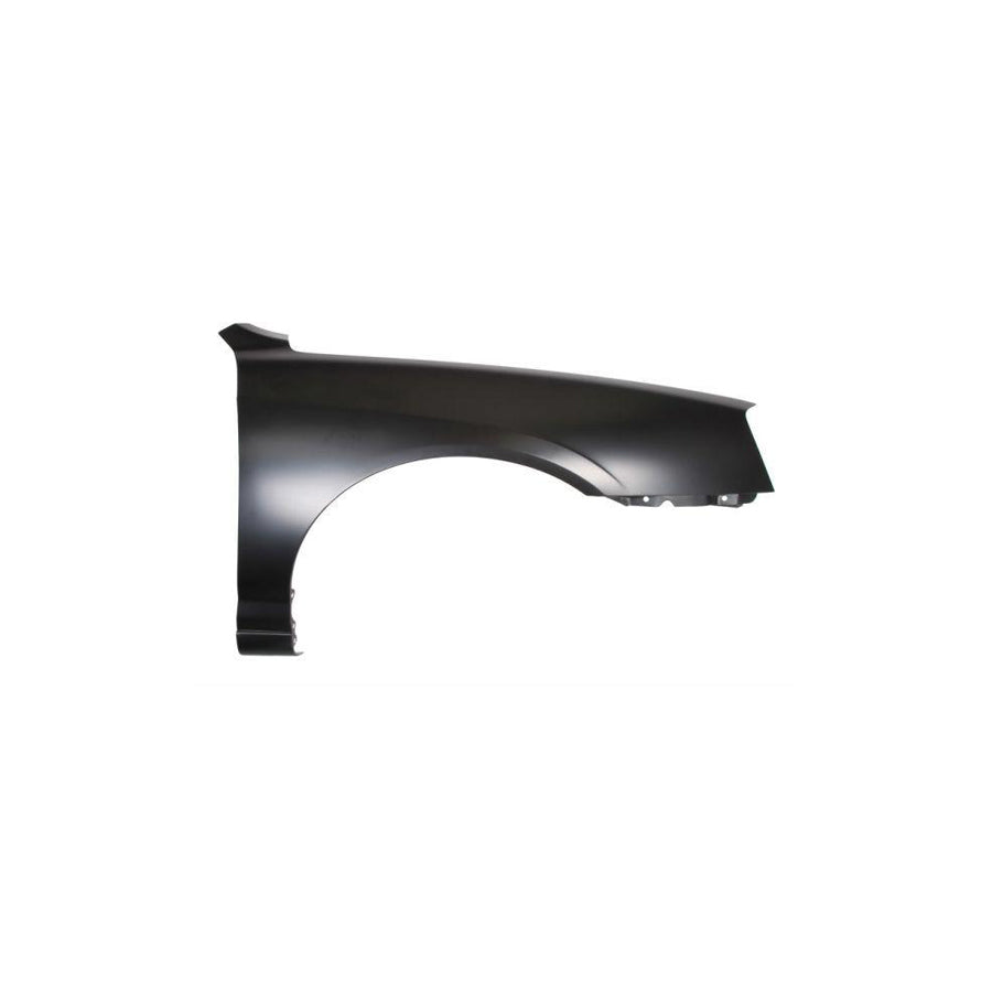 Blic 6504-04-3163316P Wing Fender For Hyundai Elantra