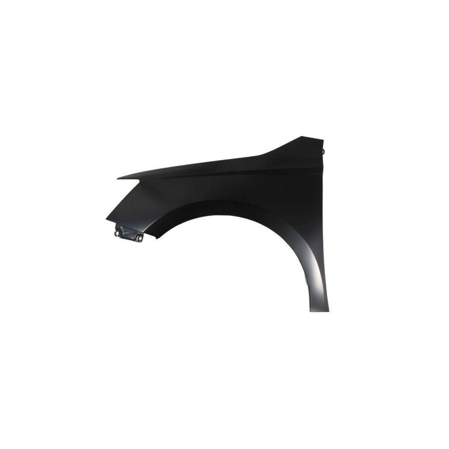 Blic 6504-04-7517311P Wing Fender For Skoda Fabia