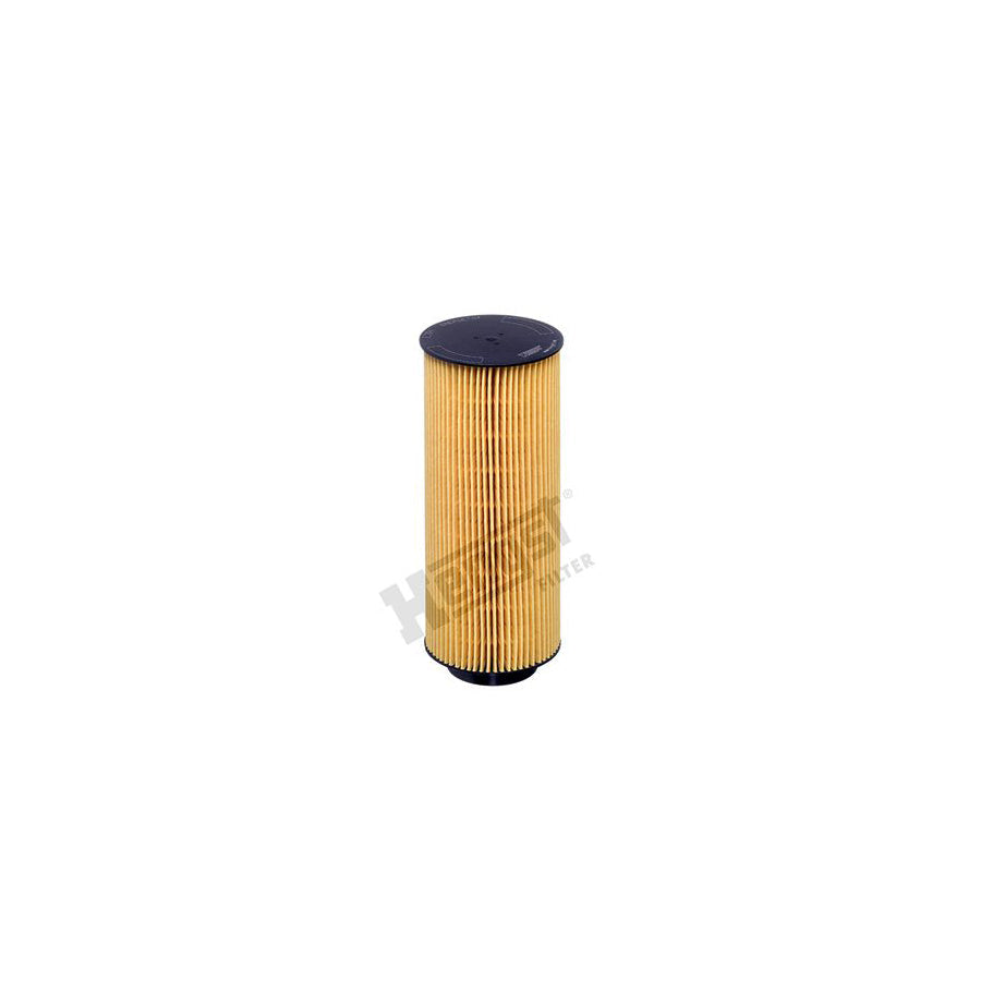 Hengst Filter E21H D361 Oil Filter
