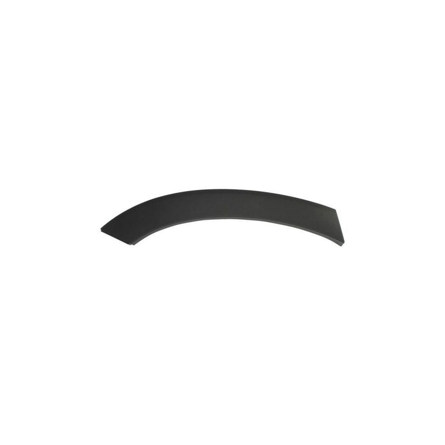 Blic 5703-04-3184472P Trim / Protective Strip, Mudguard
