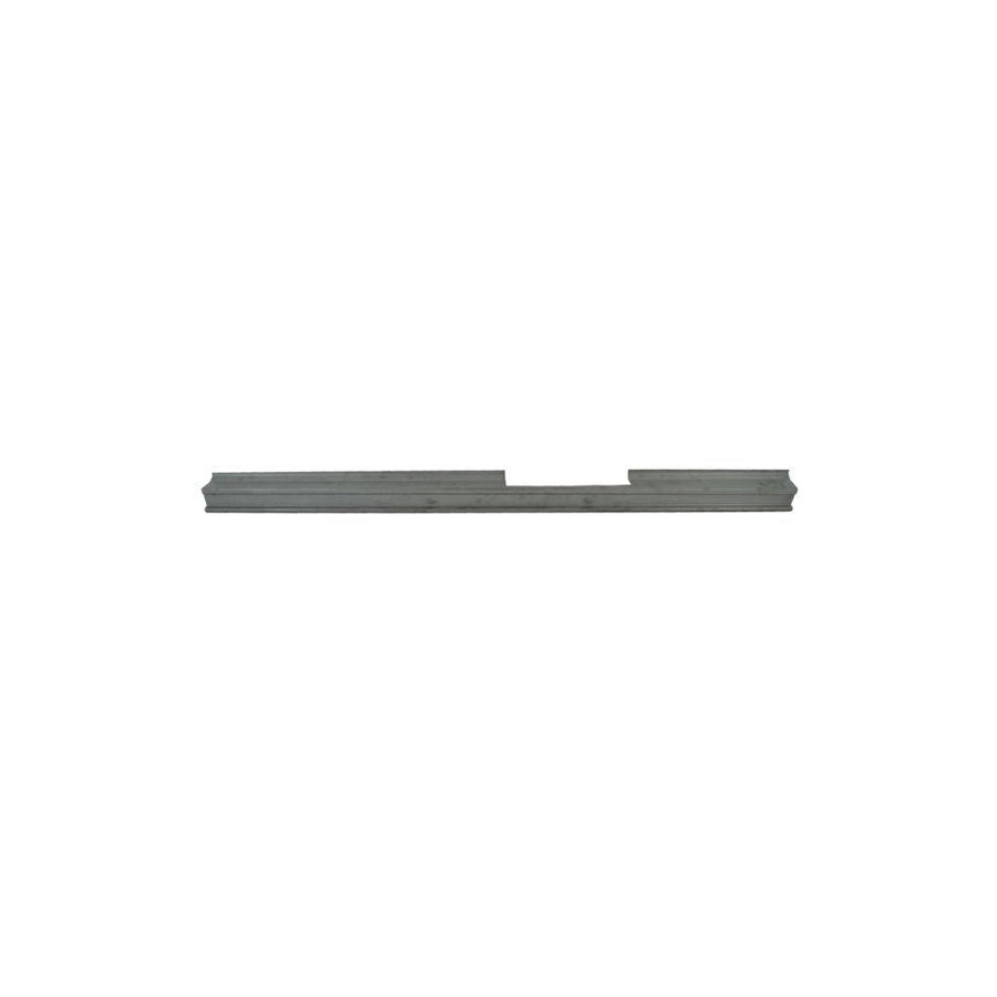 Blic 6505-06-2911017P Rocker Panel