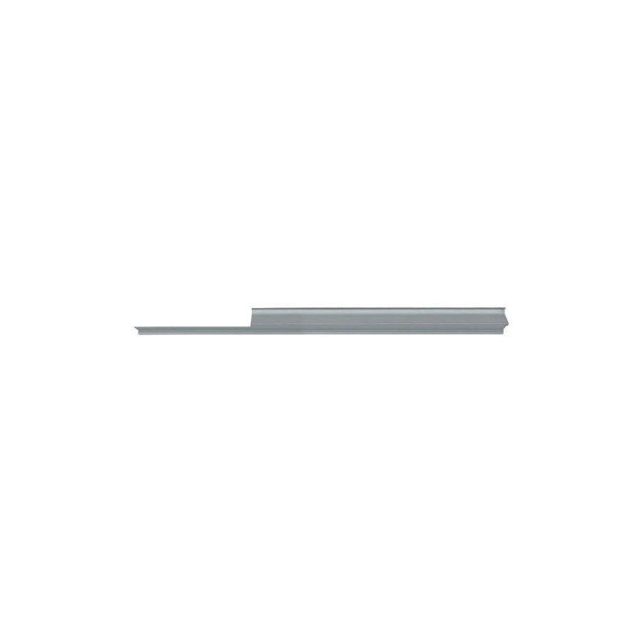 Blic 6505-06-2911016P Rocker Panel For Honda Civic