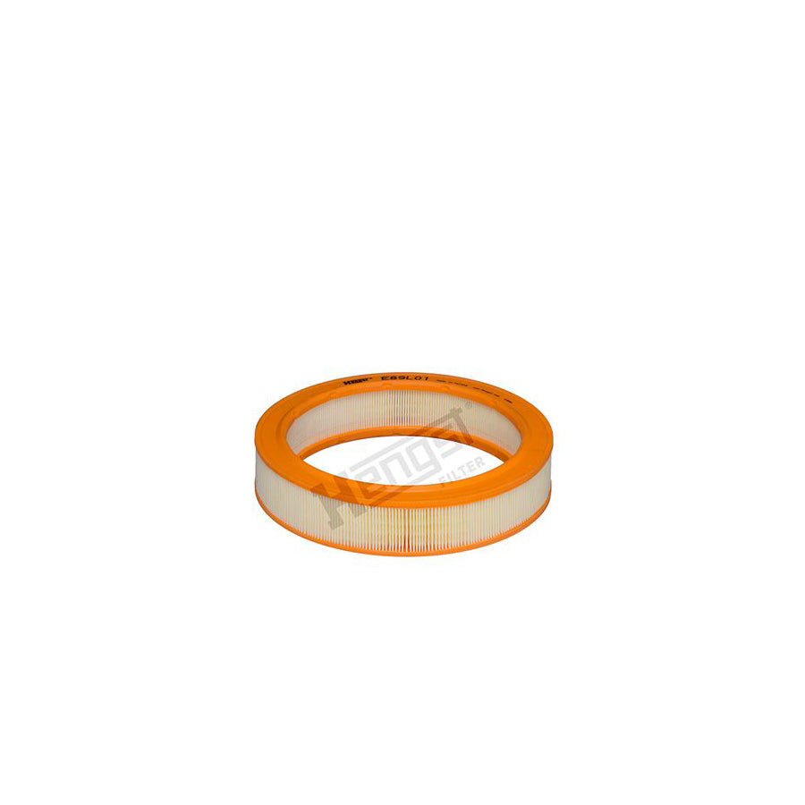 Hengst Filter E89L01 Air Filter