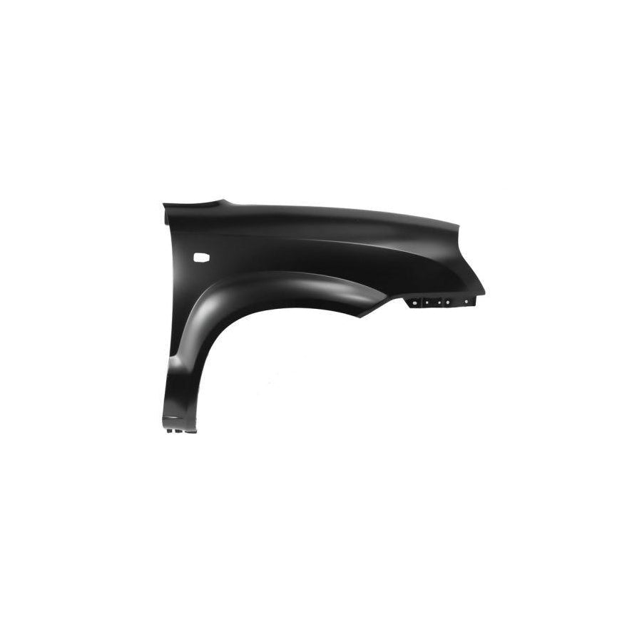 Blic 6504-04-3175312P Wing Fender For Hyundai Tucson (Jm)