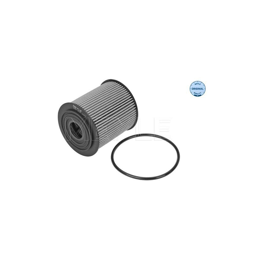 Meyle 300 000 0001 Oil Filter