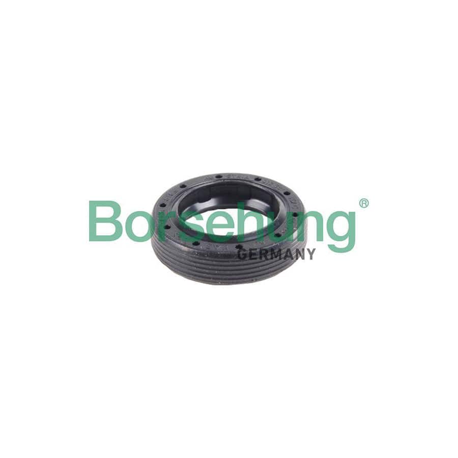 Borsehung B17838 Shaft Seal, Manual Transmission