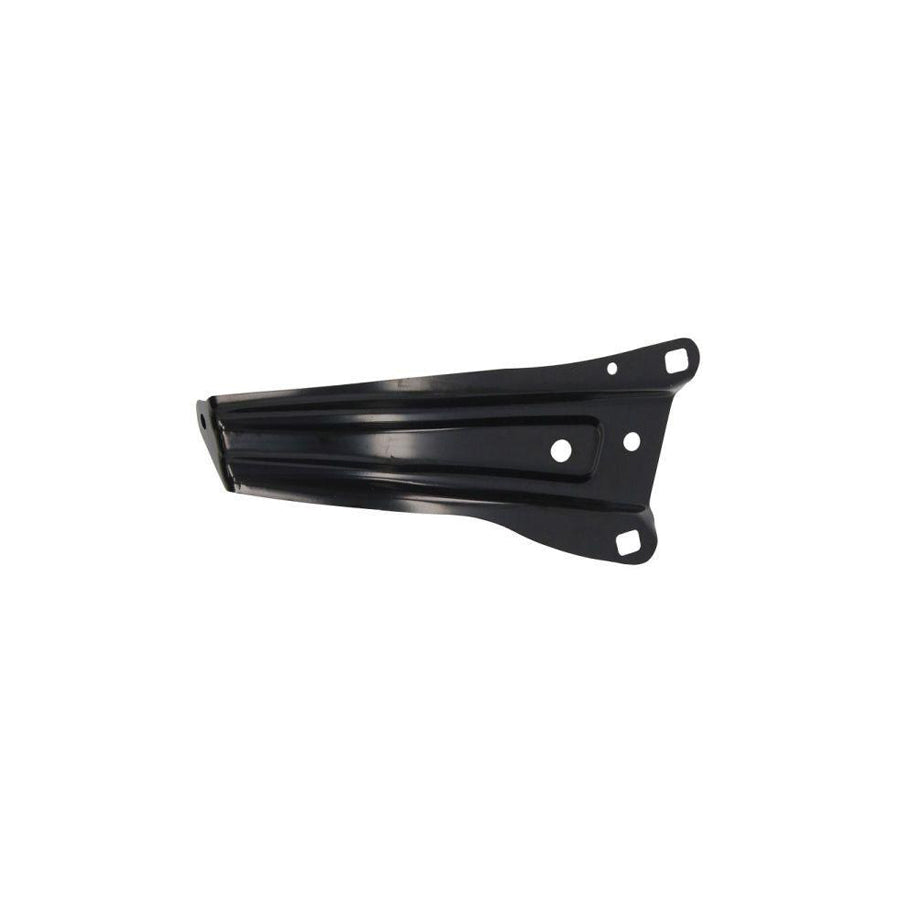 Blic 7802-03-2001381P Holder, Mudguard For Nissan Murano III (Z52)