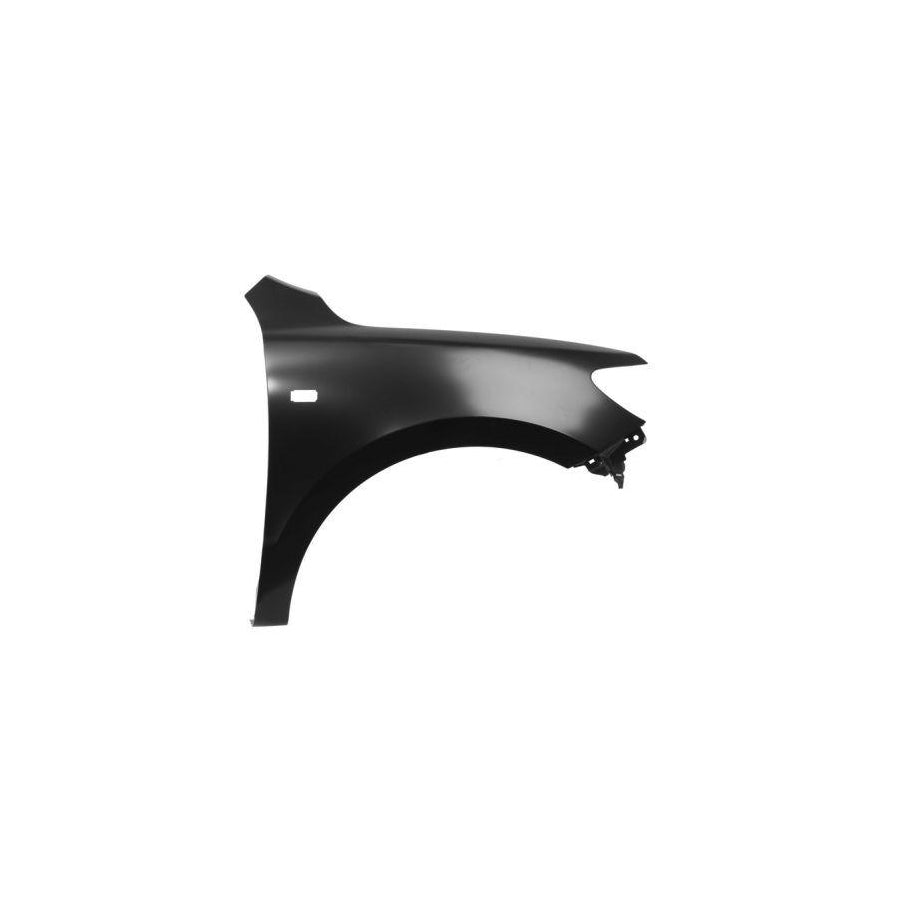 Blic 6504-04-3181318P Wing Fender For Hyundai Santa Fe II (Cm)