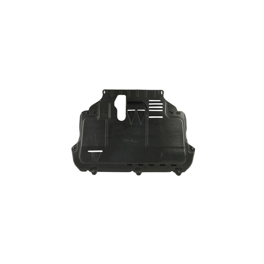 Blic 6601-02-9009860P Engine Cover