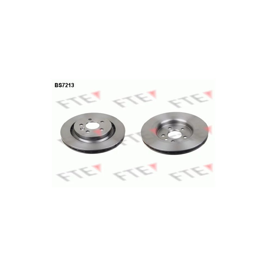 FTE 9072570 Brake Disc