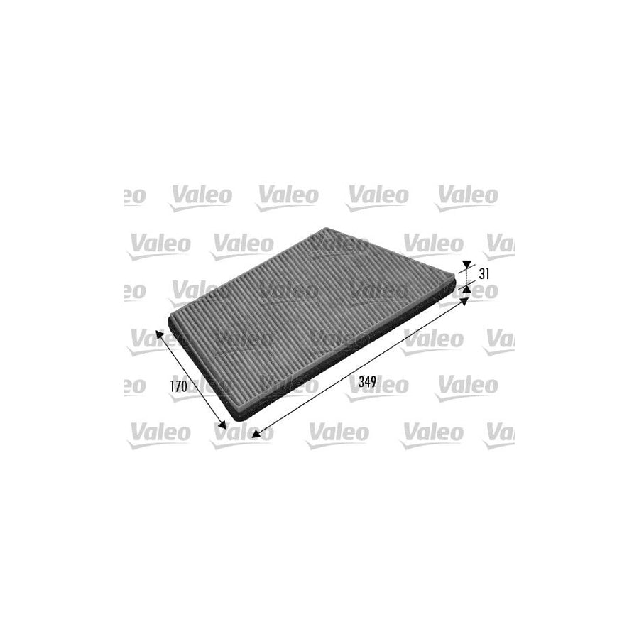 Valeo Climfilter Protect 698749 Pollen Filter For Peugeot 206 | ML Performance US Car Parts