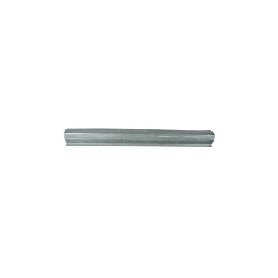 Blic 1020-20-020340P Rocker Panel For Hyundai Galloper