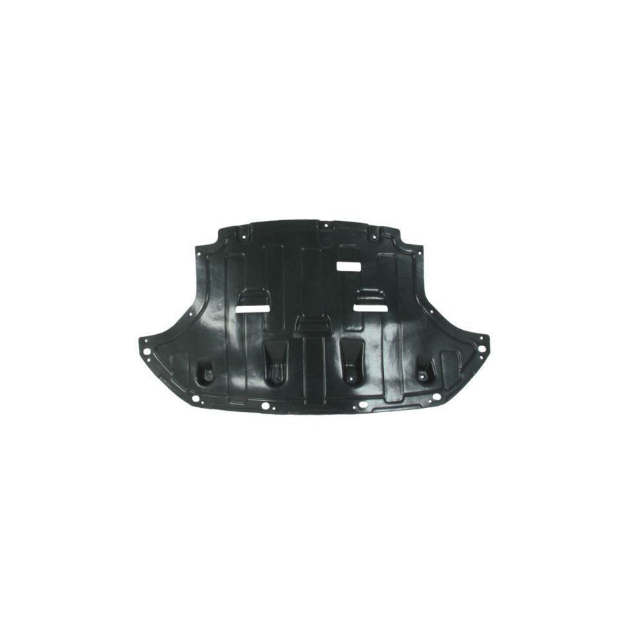 Blic 6601-02-9080870P Engine Cover