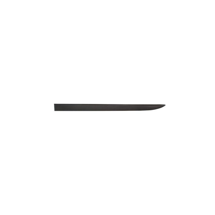 Blic 5703-04-5024571Pp Door Molding For Opel Corsa D Hatchback (S07)