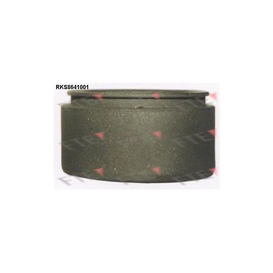 FTE Rks8641001 Piston, Brake Caliper