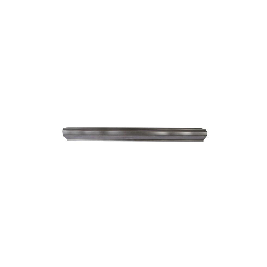 Blic 6505-06-3154018P Rocker Panel For Hyundai Pony