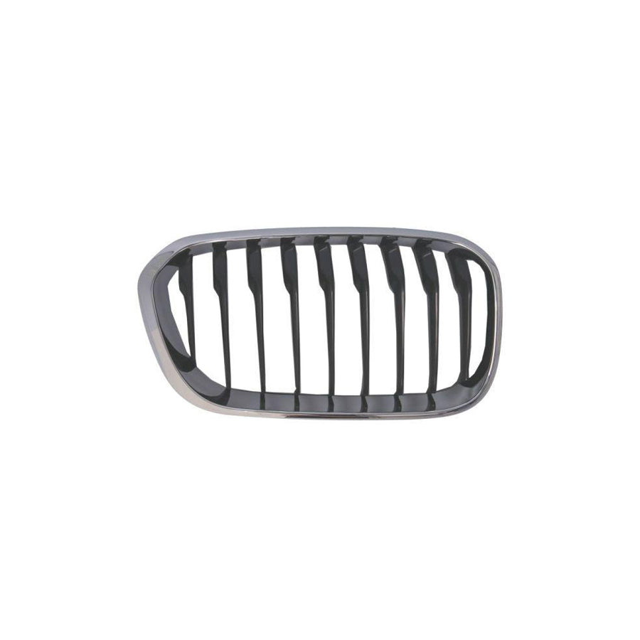 Blic 6502-07-0086998Cp Radiator Grille For BMW 1 Series
