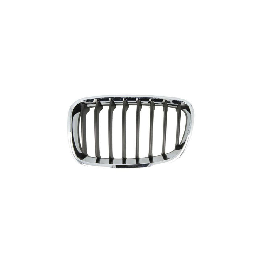 Blic 6502-07-0086995P Radiator Grille For BMW 1 Series