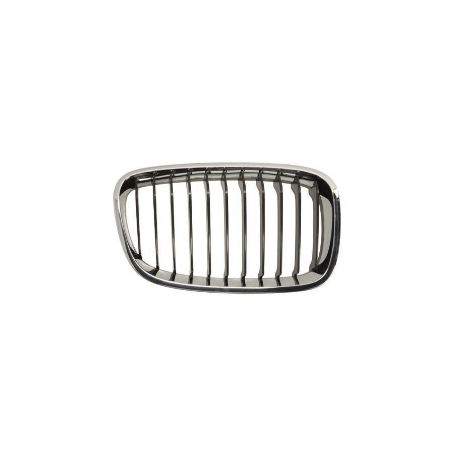 Blic 6502-07-0086992P Radiator Grille For BMW 1 Series
