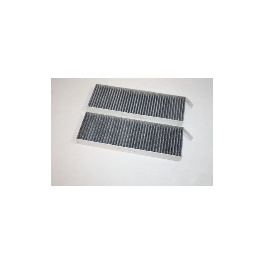 AUTOMEGA 180004410 Pollen Filter