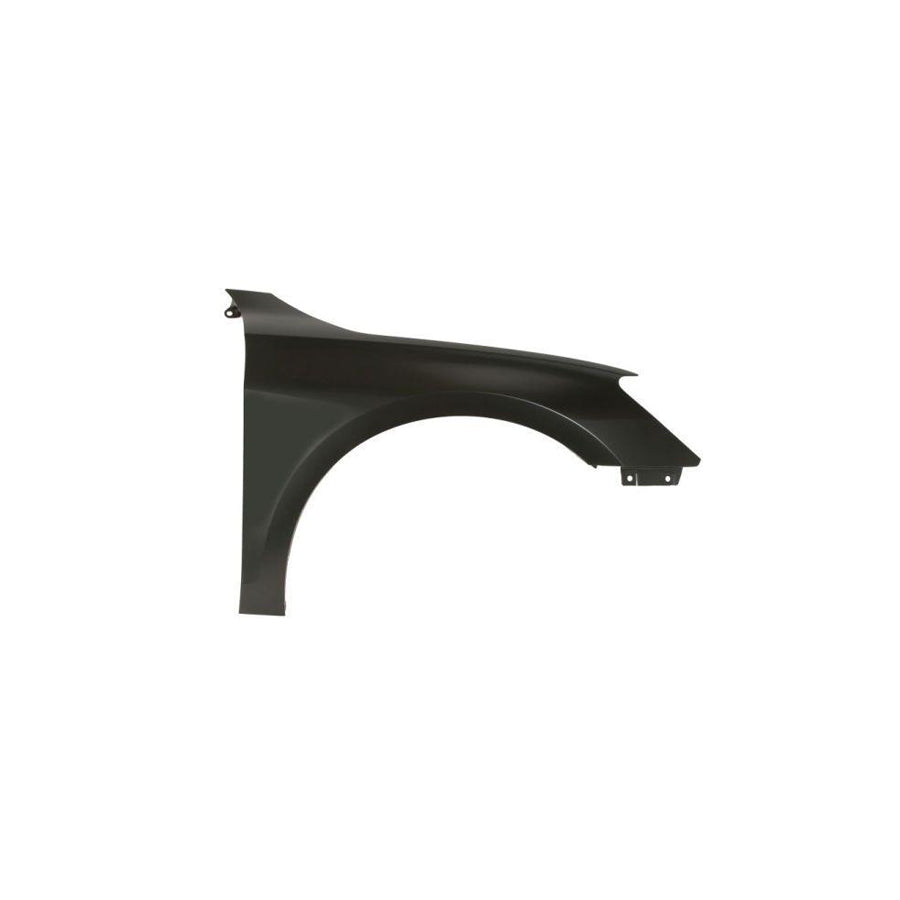 Blic 6504-04-0039312P Wing Fender For Audi A3