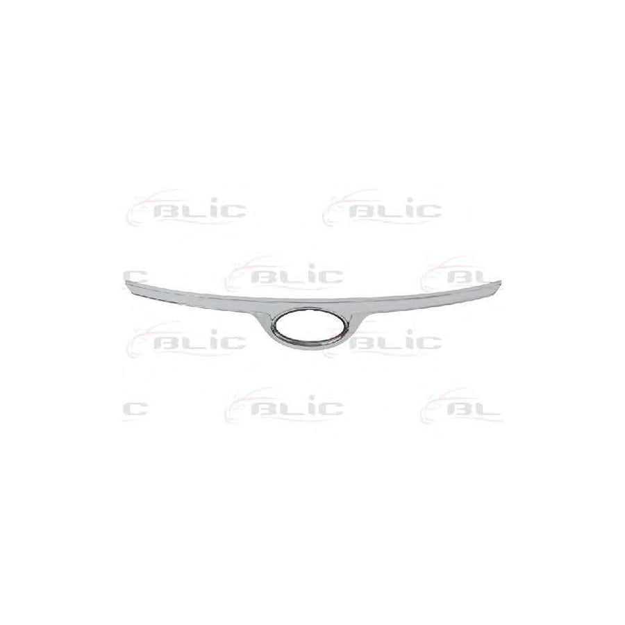 Blic 6502-07-3120210P Trim / Protective Strip, Radiator Grille For Hyundai I10 I (Pa)