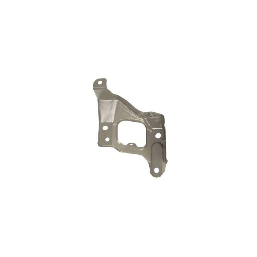 Blic 7802-03-7703382P Holder, Mudguard