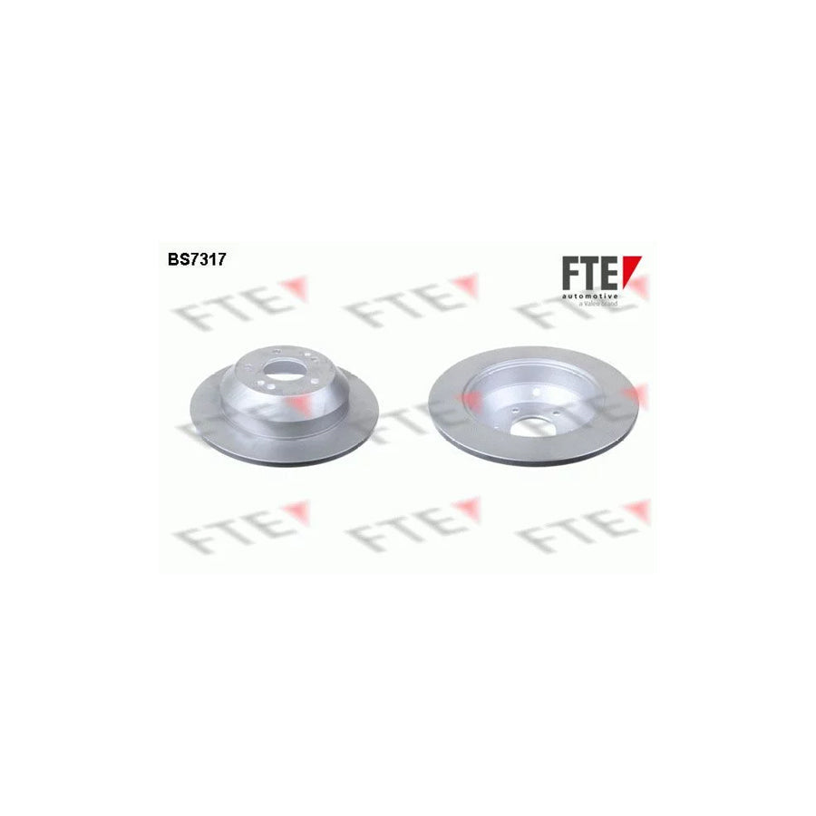 FTE Bs7317 Brake Disc