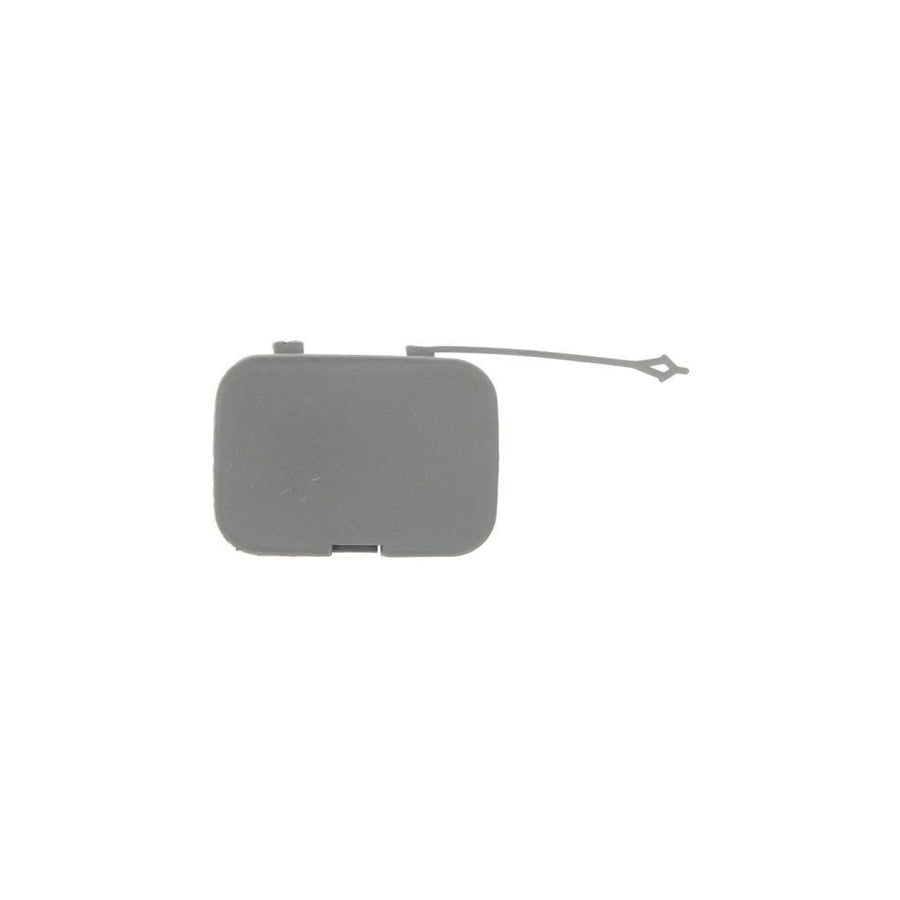 Blic 5513-00-2098920P Flap, Tow Hook