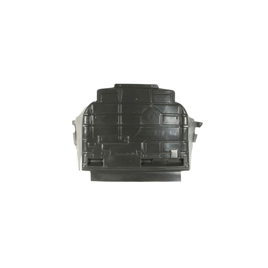 Blic 6601-05-0000002P Engine Cover