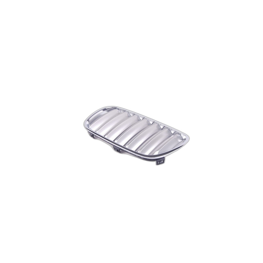 Genuine BMW 51113420089 E83 Grille, Front, Left TITAN (Inc. X3 3.0i, X3 2.0d & X3 3.0si) | ML Performance UK Car Parts