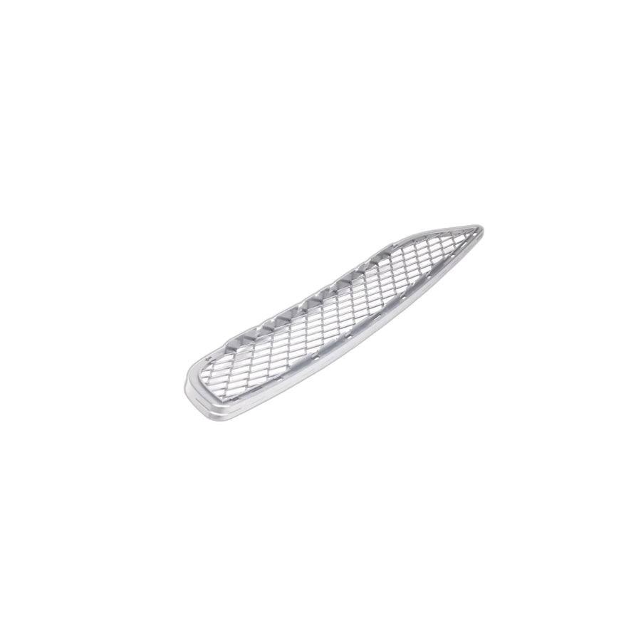 Genuine BMW 51117179851 E71 E72 Grill, Center Lower ALU MATT (Inc. X6) | ML Performance US Car Parts