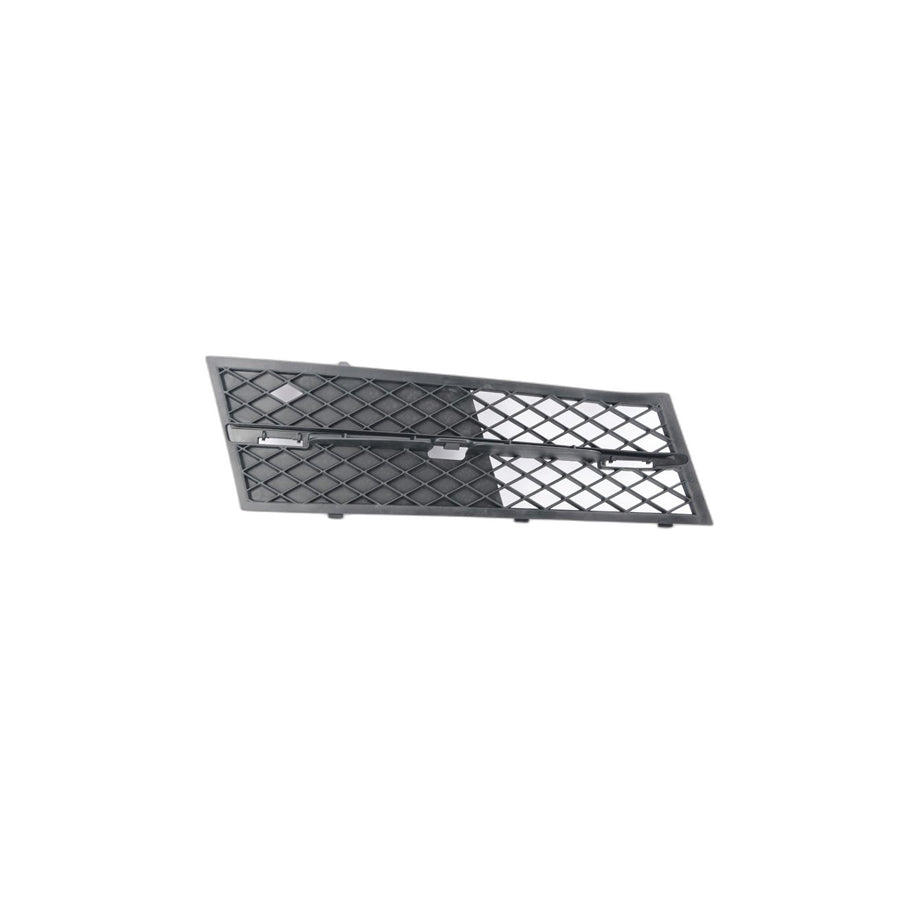 Genuine BMW 51117200700 Grill, Air Intake, Part Closed, Right (Inc. 520d ed, 550i & 528i) | ML Performance US Car Parts