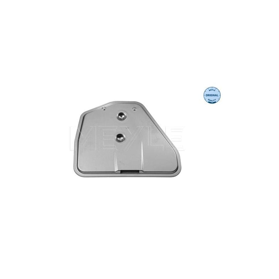 Meyle 314 316 0001 Hydraulic Filter, Automatic Transmission