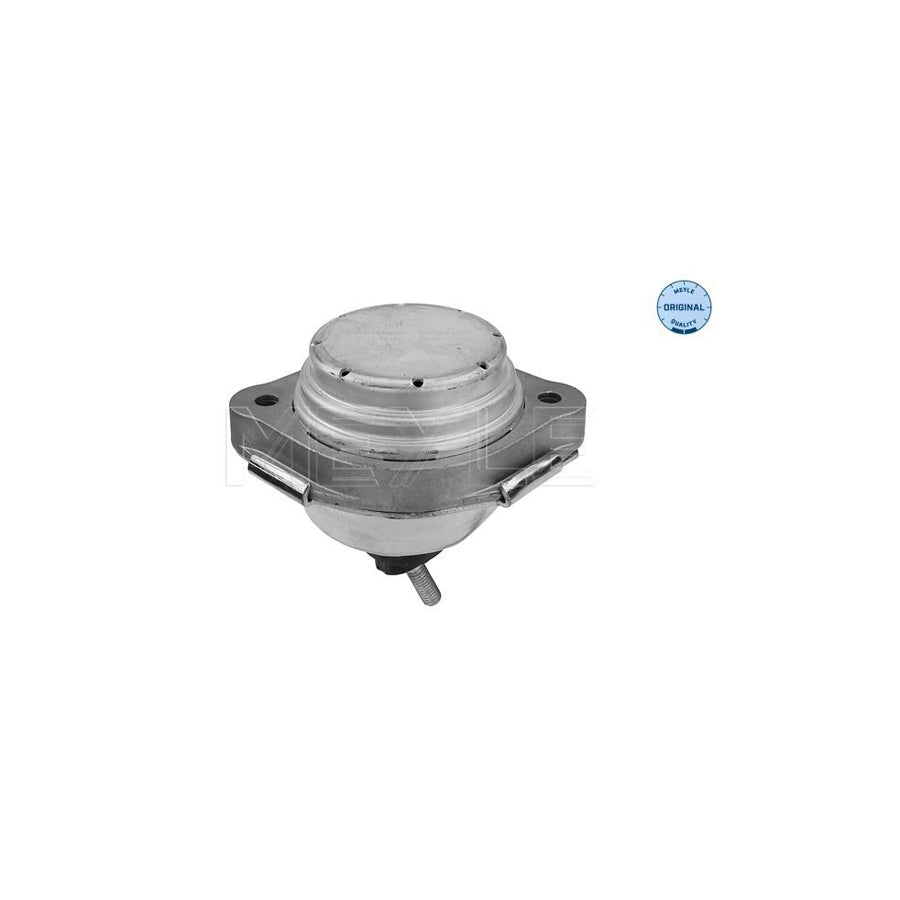 Meyle 300 221 1131 Engine Mount For BMW X3 (E83)