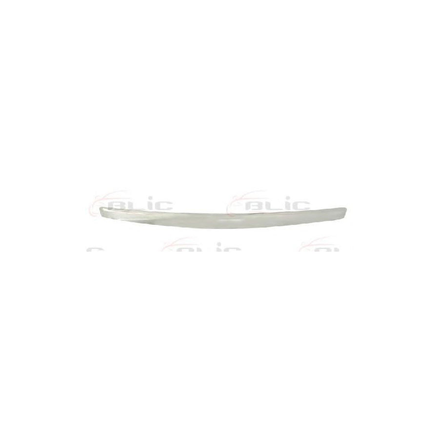 Blic 5513-00-2534921P Trim / Protective Strip, Radiator Grille For Ford C-Max (Dm2)