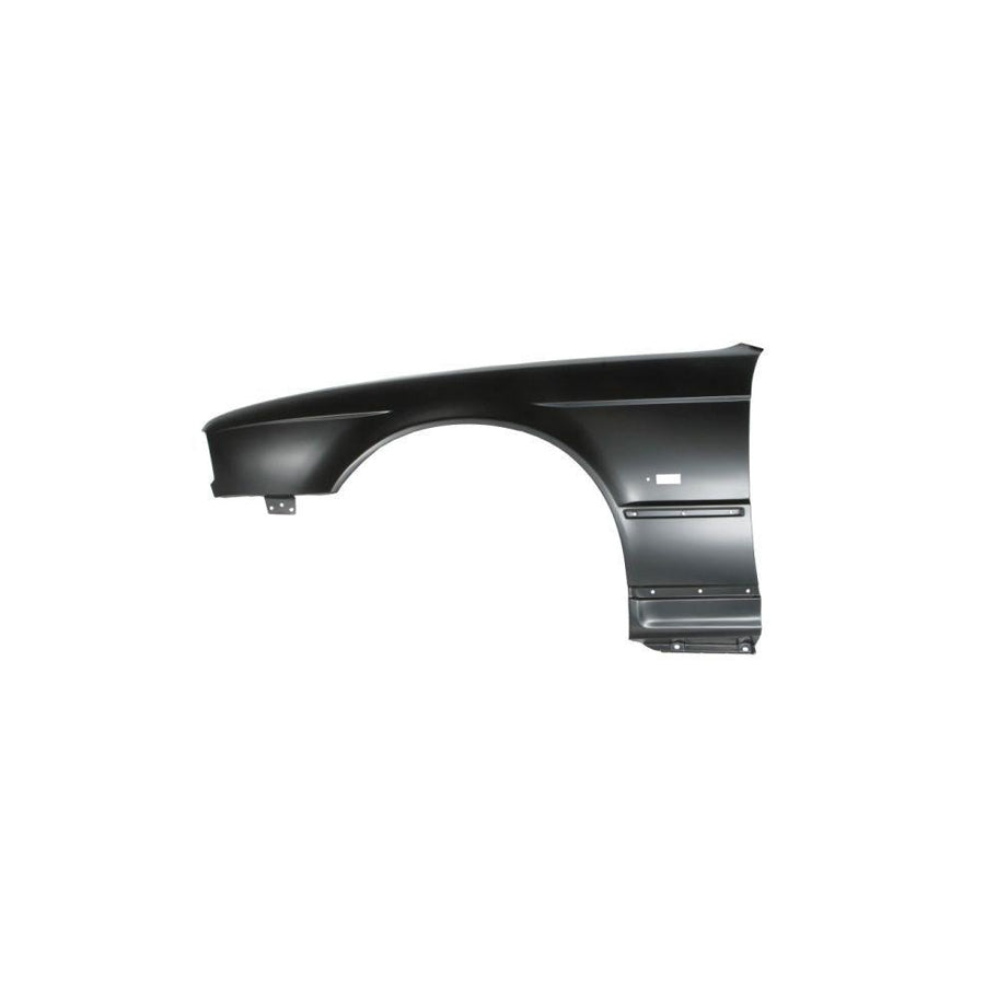 Blic 6504-04-0057313P Wing Fender For BMW 5 Series