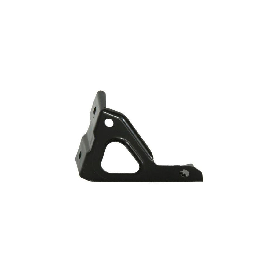 Blic 7802-03-9548382P Holder, Mudguard For VW Tiguan I (5N)